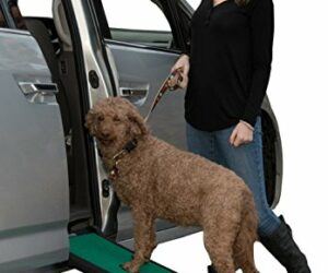 Pet Gear Travel Lite Ramp with SuperTrax Surface for Maximum Traction